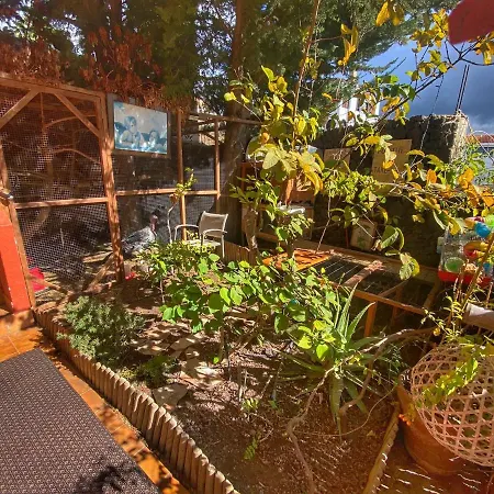 Kordelliya Garden Chayofa